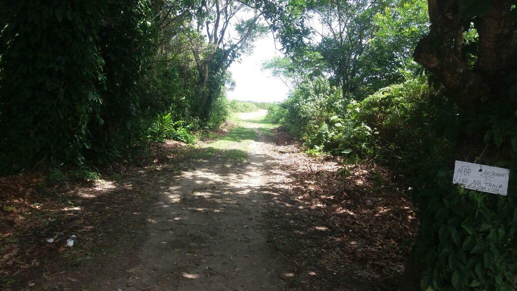 Ilha Do Mel - Frente Ao Mar